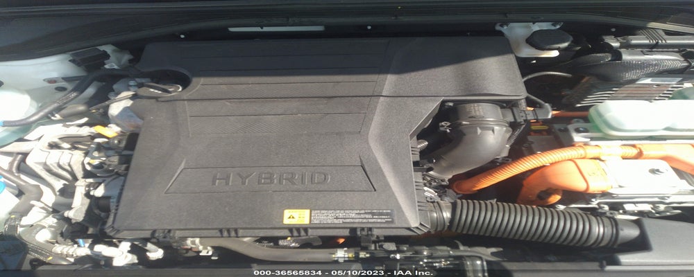 KMHC75LC5KU118743 2019 HYUNDAI IONIQ photo no. 10