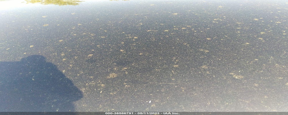 KMHDH4AEXDU594991 2013 HYUNDAI ELANTRA photo no. 10
