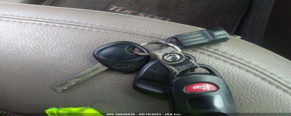 KM8JUCAC5DU565499 2013 HYUNDAI TUCSON photo no. 11