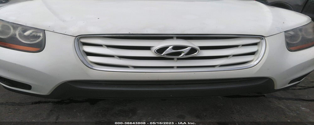 5NMSG3AB5AH407481 2010 HYUNDAI SANTA FE photo no. 6