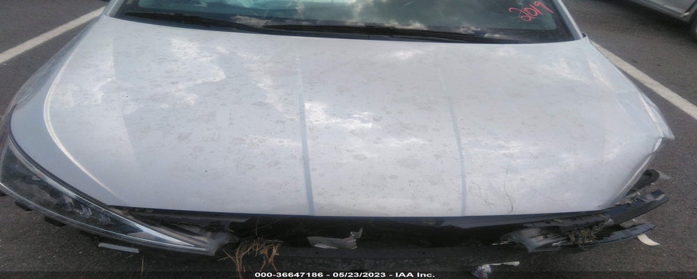 5NPD74LF4KH449899 2019 HYUNDAI ELANTRA photo no. 10