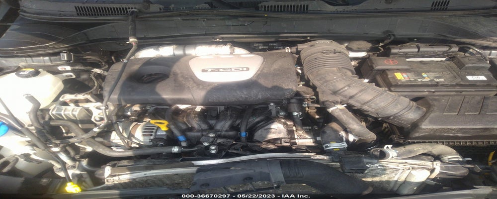 KM8K5CA56KU312479 2019 HYUNDAI KONA photo no. 10