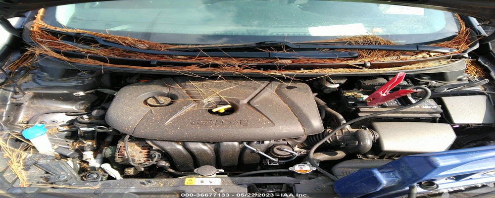 KMHD35LHXGU302093 2016 HYUNDAI ELANTRA GT photo no. 10