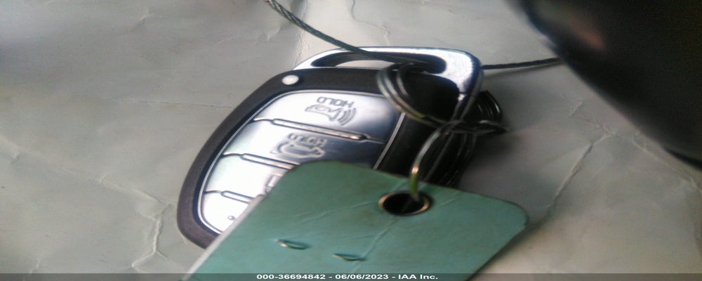 KMHC75LDXKU154856 2019 HYUNDAI IONIQ PLUG-IN HYBRID photo no. 11