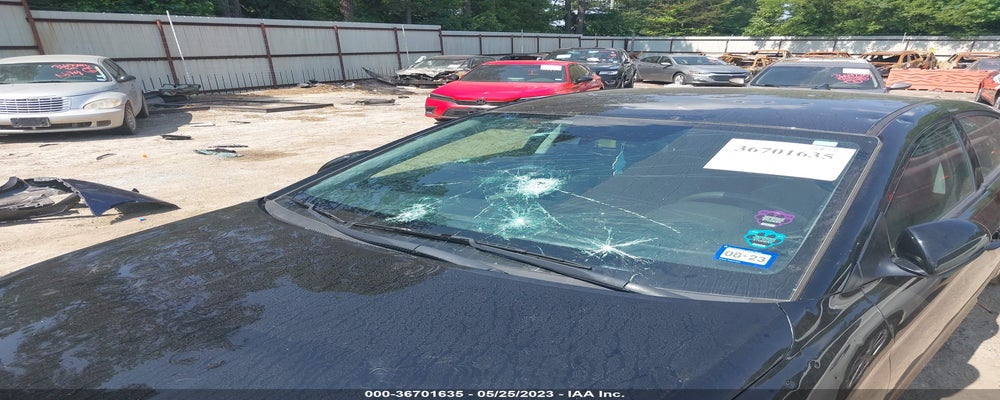 KMHD84LF7KU877853 2019 HYUNDAI ELANTRA photo no. 6