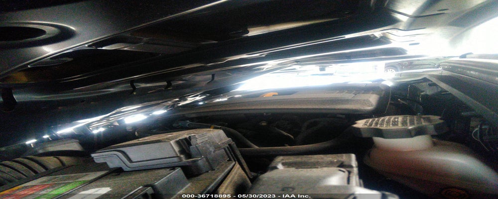 KMHD74LF9KU775344 2019 HYUNDAI ELANTRA photo no. 10