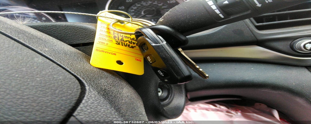 5NPD74LF2KH411149 2019 HYUNDAI ELANTRA photo no. 11