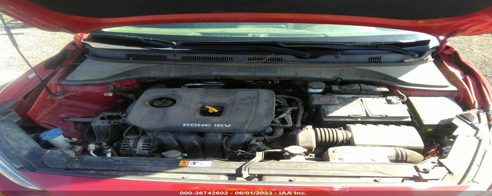 KM8K1CAA8KU195545 2019 HYUNDAI KONA photo no. 10