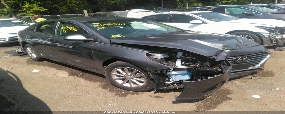 5NPE24AF4KH806116 2019 HYUNDAI SONATA photo no. 19