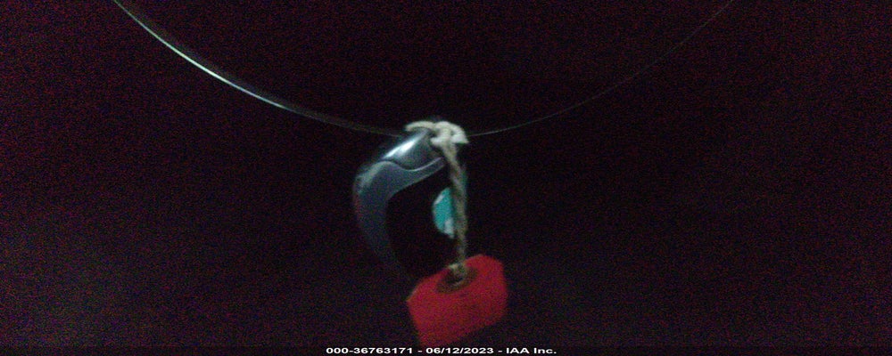 5NMJFCAE1PH161546 2023 HYUNDAI TUCSON photo no. 11
