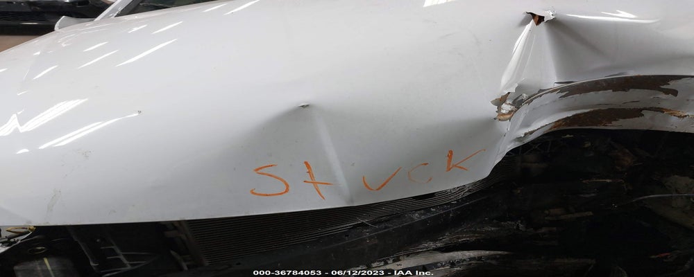 KMHD04LB3KU835667 2019 HYUNDAI ELANTRA photo no. 10