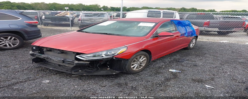 5NPE24AF5KH811146 2019 HYUNDAI SONATA photo no. 2