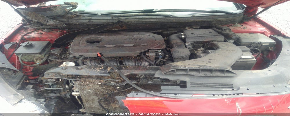 5NPE34AF3KH800367 2019 HYUNDAI SONATA photo no. 10