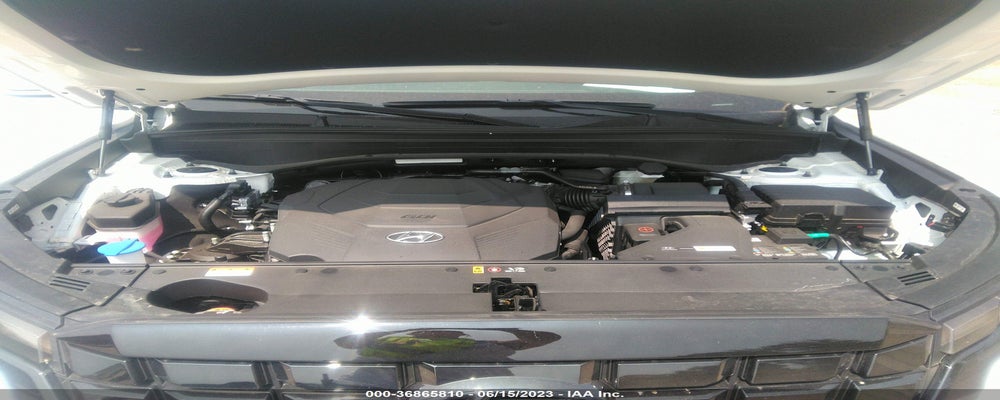 KM8R3DGE8PU557454 2023 HYUNDAI PALISADE photo no. 10