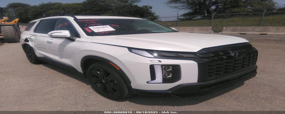 KM8R3DGE8PU557454 2023 HYUNDAI PALISADE photo no. 10