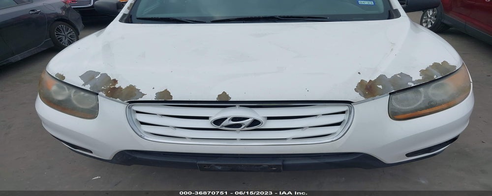 5NMSG3AB7AH347462 2010 HYUNDAI SANTA FE photo no. 6