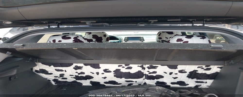 KM8K22AAXJU107519 2018 HYUNDAI KONA photo no. 8