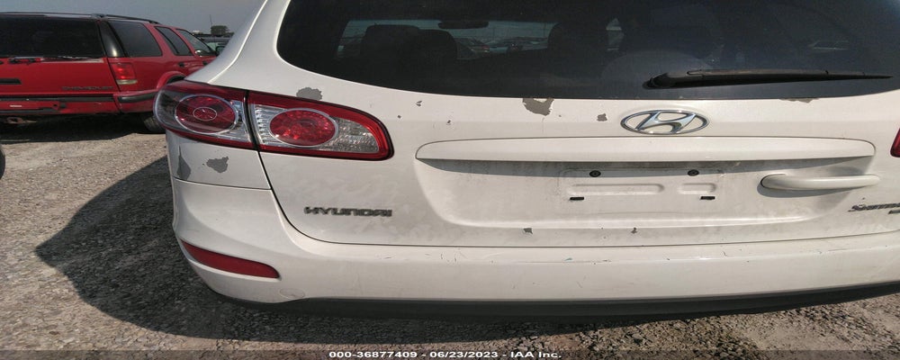 5NMSGDAB4AH357484 2010 HYUNDAI SANTA FE photo no. 6