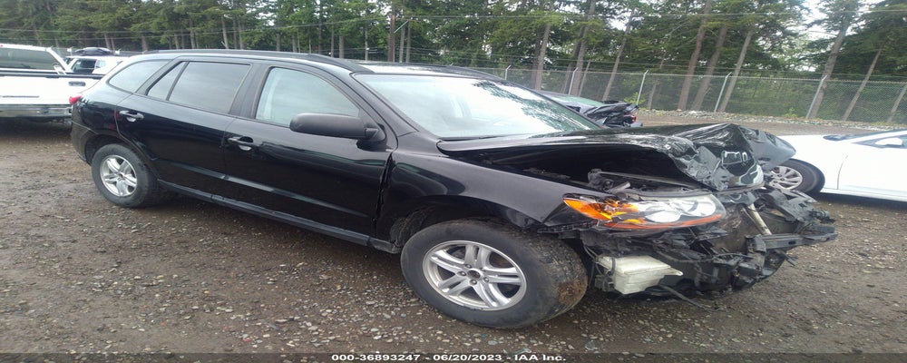 5NMSGDAB5AH351029 2010 HYUNDAI SANTA FE photo no. 18