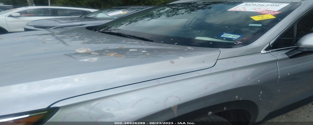 5NMS24AJ6PH551576 2023 HYUNDAI SANTA FE photo no. 6