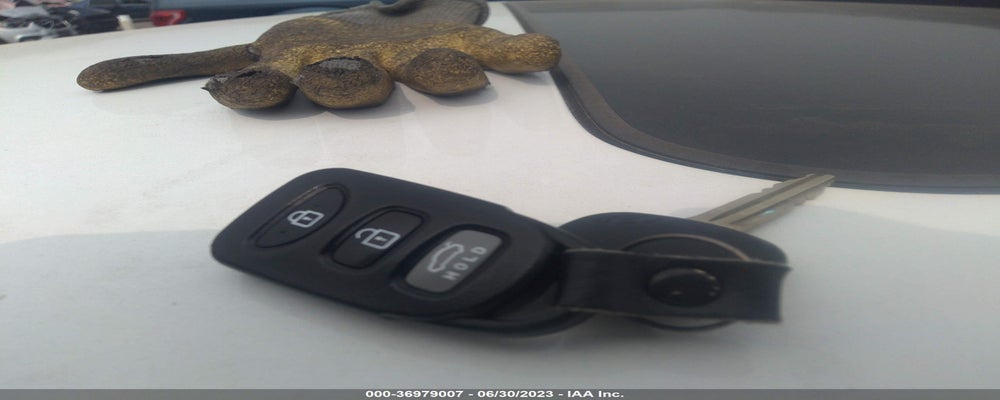 5NPDH4AE6DH426246 2013 HYUNDAI ELANTRA photo no. 11