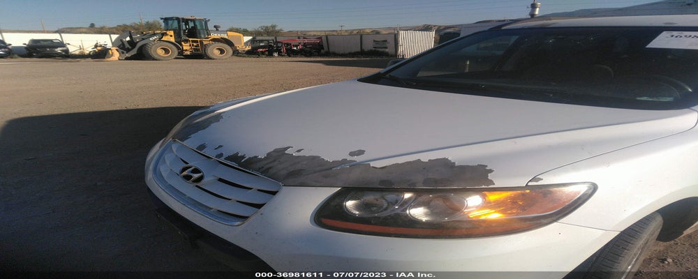 5NMSGDABXAH337479 2010 HYUNDAI SANTA FE photo no. 6