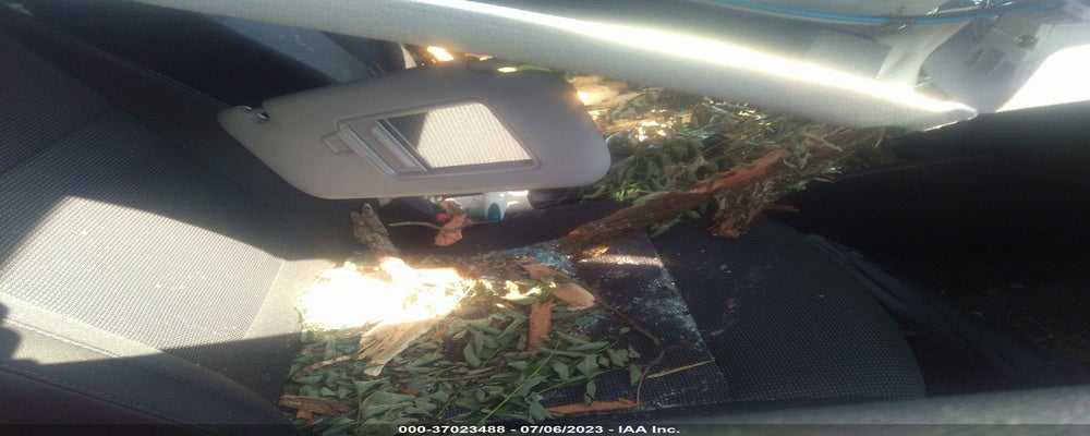3KPC24A35KE051687 2019 HYUNDAI ACCENT photo no. 5