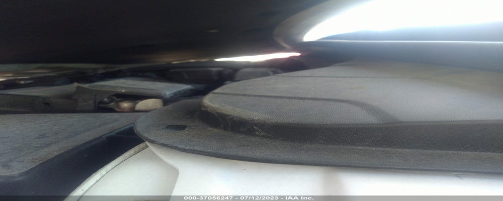 5NPD84LF7KH490637 2019 HYUNDAI ELANTRA photo no. 10