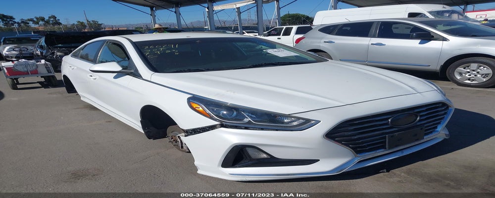 5NPE24AF0KH735934 2019 HYUNDAI SONATA photo no. 13