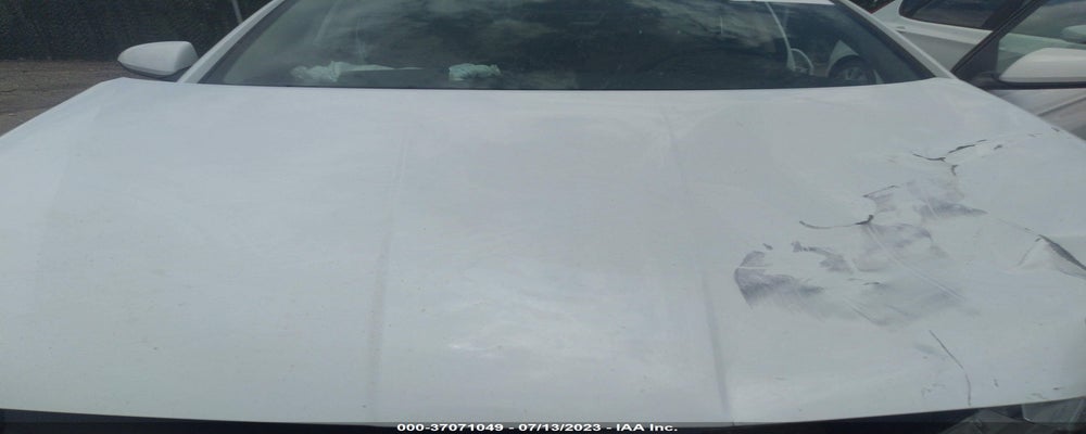 5NPD84LF5KH411532 2019 HYUNDAI ELANTRA photo no. 10