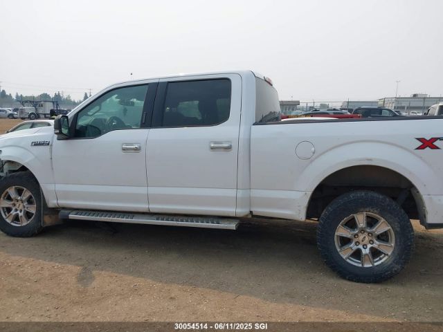 1FTFW1EF7HKE30149 Ford F150 Supercrew