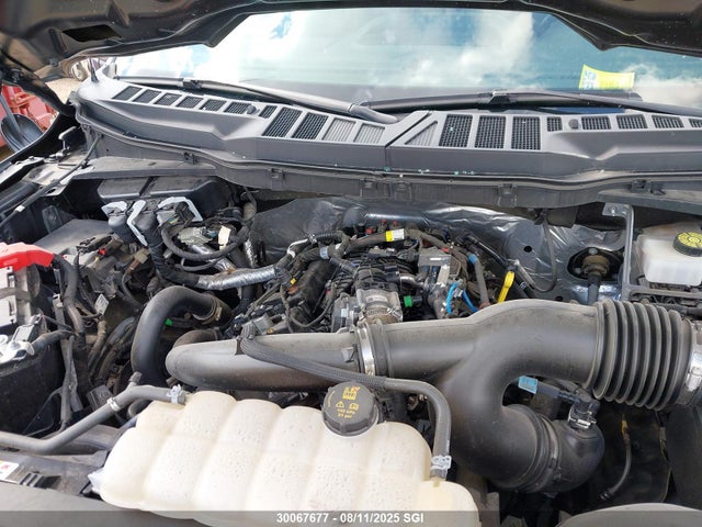Ford 4v 2021 1FTEW1EP3MKD67243 Image 10