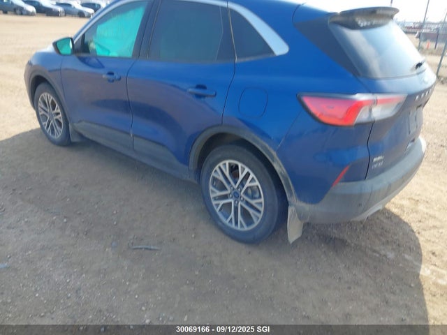 Ford dragon di tc 2022 1FMCU9H69NUB35844 Image 3