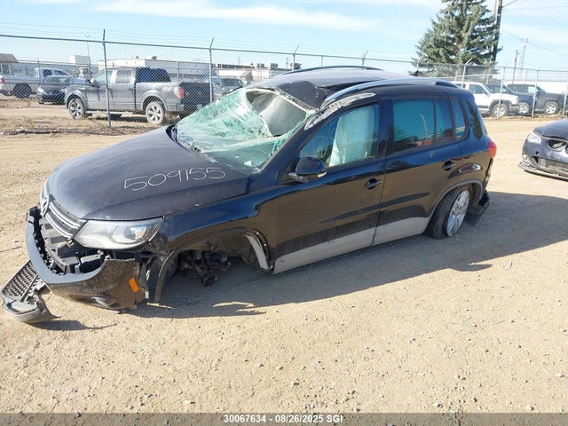 WVGJV3AX4EW509155 Volkswagen Tiguan