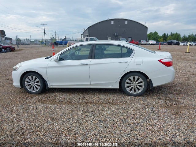Honda k24w1 2015 1HGCR2F88FA805213 Image 13
