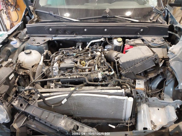 3FMCR9C65RRE12835 Ford dragon