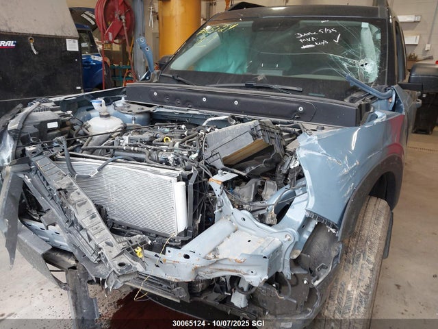 3FMCR9C65RRE12835 Ford dragon