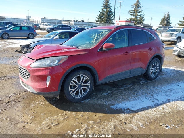 2020 Ford Escape Sel მანქანა იყიდება აუქციონზე, vin: 1FMCU9H67LUC45384, აუქციონის ნომერი: 30078942