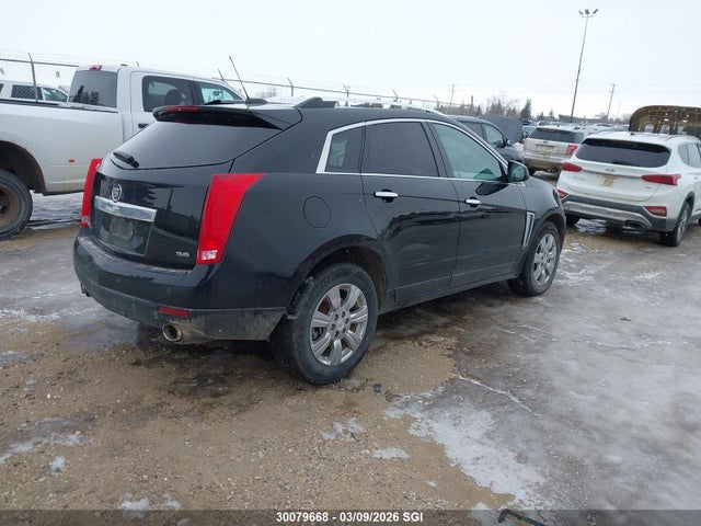 Cadillac Srx Luxury Collection 2016 3GYFNEE38GS538518 Image 4