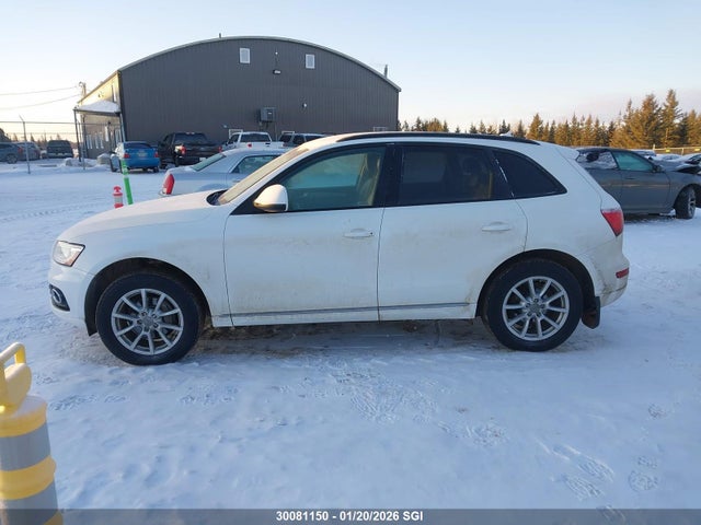 30081150 :رقم المزاد ، WA1CFCFP7DA016272 vin ، 2013 Audi Q5 Premium مزاد بيع