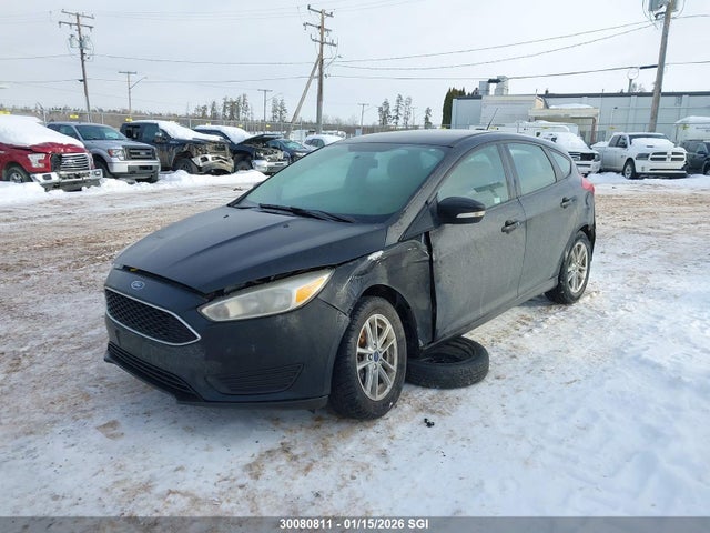 1FADP3K24HL239614 Ford FOCUS SE