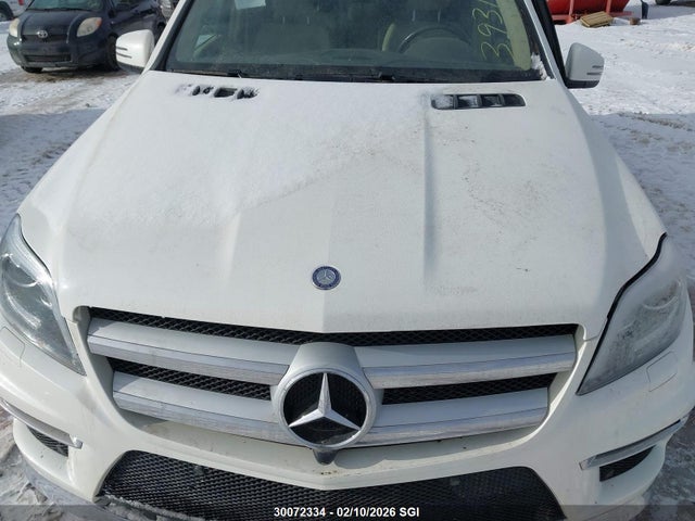 Mercedes-Benz Gl 350 Bluetec 2014 4JGDF2EE6EA393144 Image 10