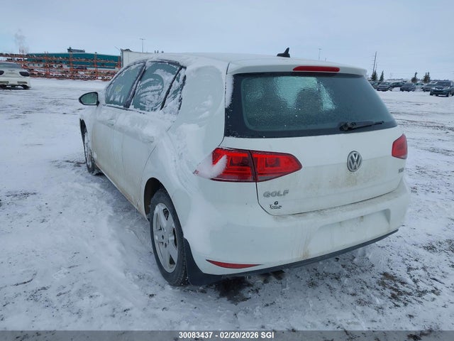 3VW217AU3GM042313 Volkswagen Golf S/se/sel