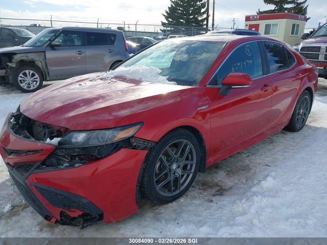 4T1B21HK6MU015384 Toyota Camry Xle/se