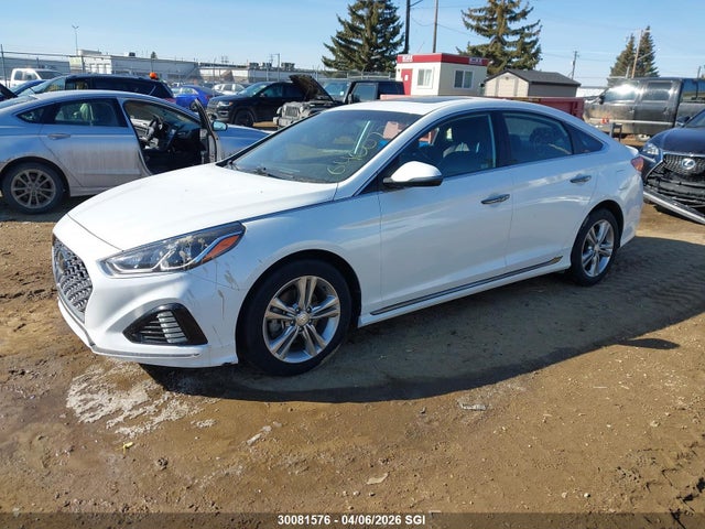 5NPE34AF6JH640077 Hyundai Sonata Sport/limited/sel