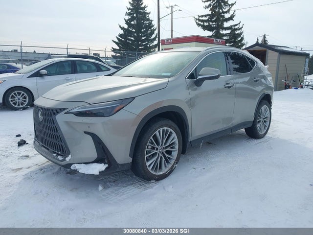 Lexus Nx 350 Premium 2025 2T2GGCEZ0SC088376 Image 2