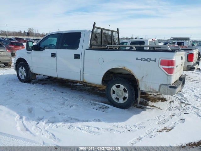 Aukcja sprzedaży 2013 Ford F150 Supercrew, vin: 1FTFW1EF3DFA00461, numer aukcji: 30084543