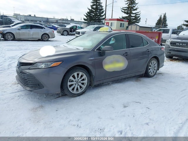 4T1B31HK2KU514709 Toyota CAMRY LE