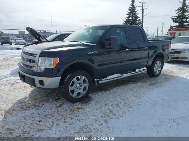 30083844 :رقم المزاد ، 1FTFW1EF6DFD57391 vin ، 2013 Ford F-150 Xlt مزاد بيع