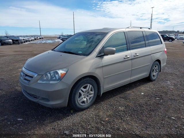 Продаж на аукціоні авто 2007 Honda Odyssey Exl, vin: 5FNRL386X7B513812, номер лоту: 30085378